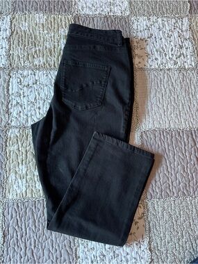 Women’s Denver Hayes Black Straight Leg Hanna High Rise Jeans Size 10 Petite